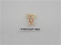 藏品(二斑叉紋苔蛾)的圖片